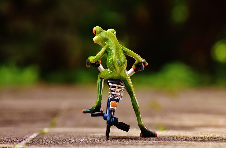 カエル 自転車 かわいい 甘い 図 面白い ドライブ 全長 ウォーキング 道路 Pxfuel