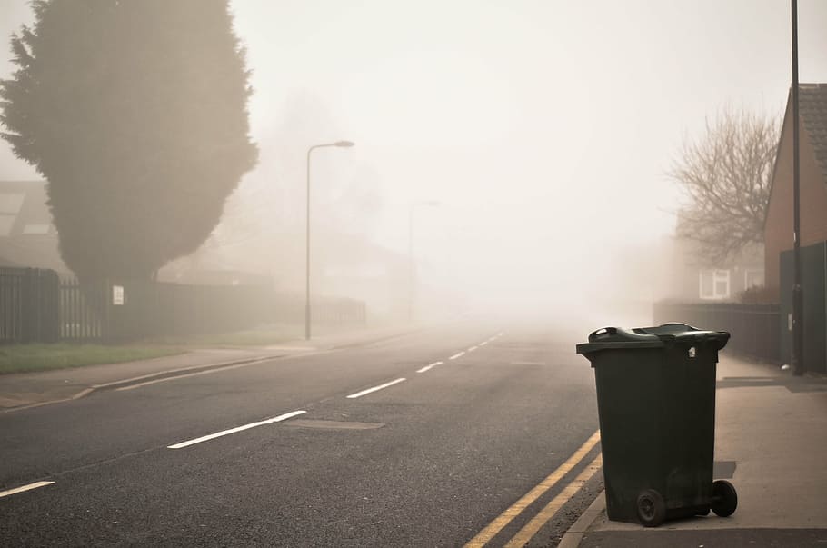 green, trash bin, gray, road, street, tree, plant, outdoor, foggy, can