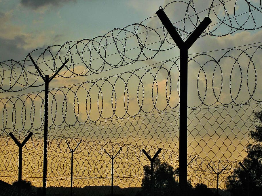 sunset, glow, soft, fence, security, formidable, barbed Wire, prison, chainlink Fence, wire