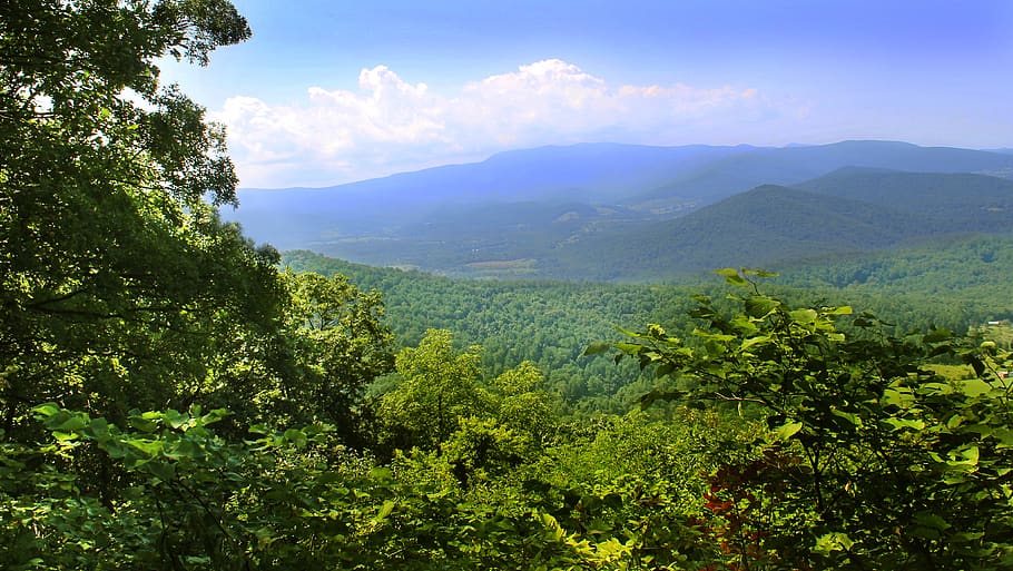 shenandoah valley, virginia, landscape, appalachian, scenic, forest, scenery, tree, beauty in nature, plant