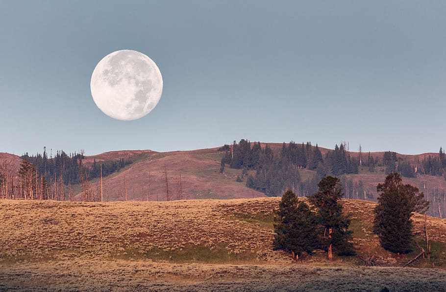 Lamar Valley, fotografía de ángulo bajo de la luna, cielo, luna, belleza en la naturaleza, luna llena, escena tranquila, montaña, naturaleza, tranquilidad