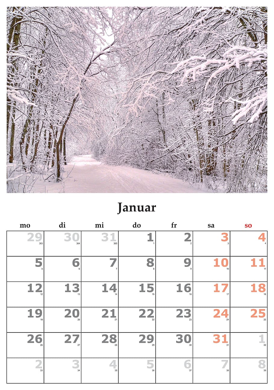 january calendar, calendar, month, january, january 2015, tree, plant, number, snow, transfer print