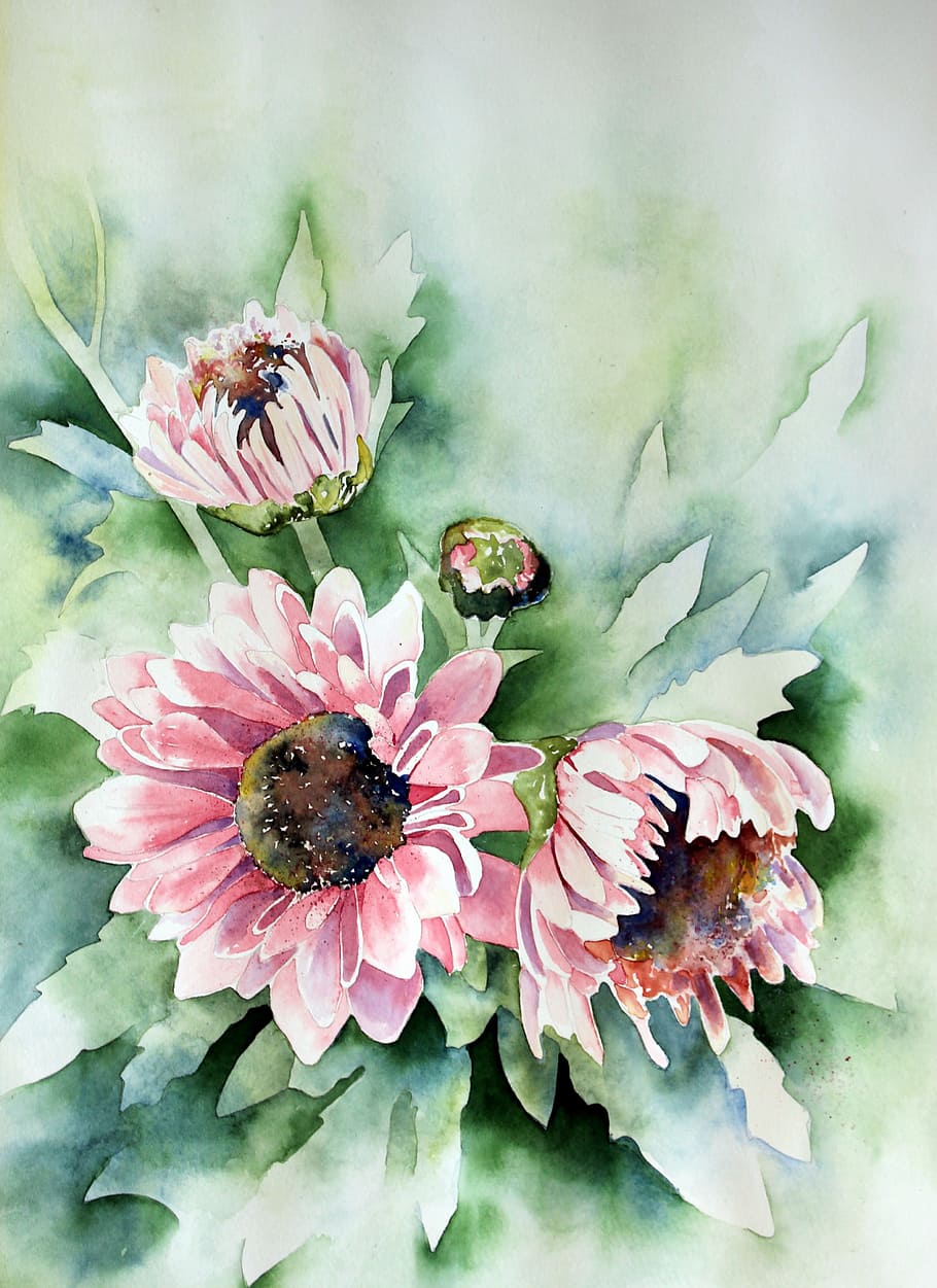 pink, daisy flowers painting, watercolour, painting, art, paint, watercolor, nature, flowers, garden
