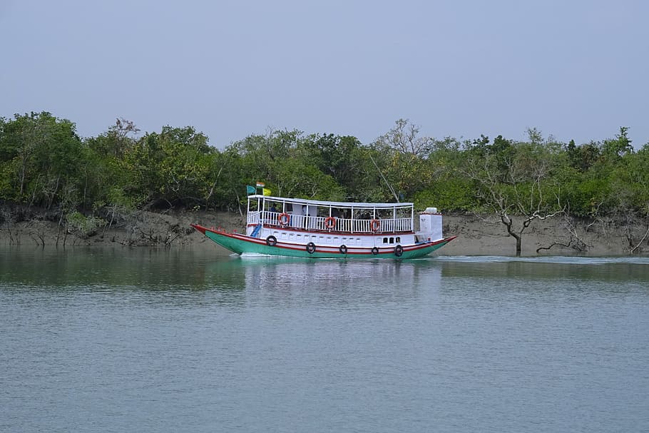 boat, river, mangroves, sundarbans, forest, ramsar site, unesco, world heritage, flora, india
