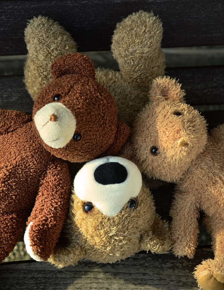 3, 茶色, クマ, ぬいぐるみ, おもちゃ, テディ, テディベア, 寄り添う, 楽しい, 友情