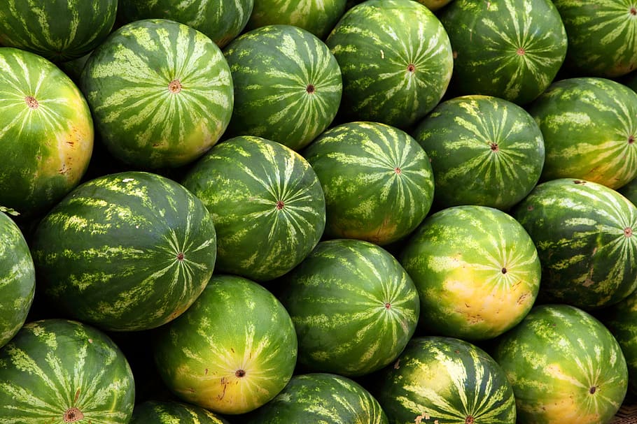 closeup, green, watermelon fruits, background, backgrounds, food, fruit, group, juicy, market
