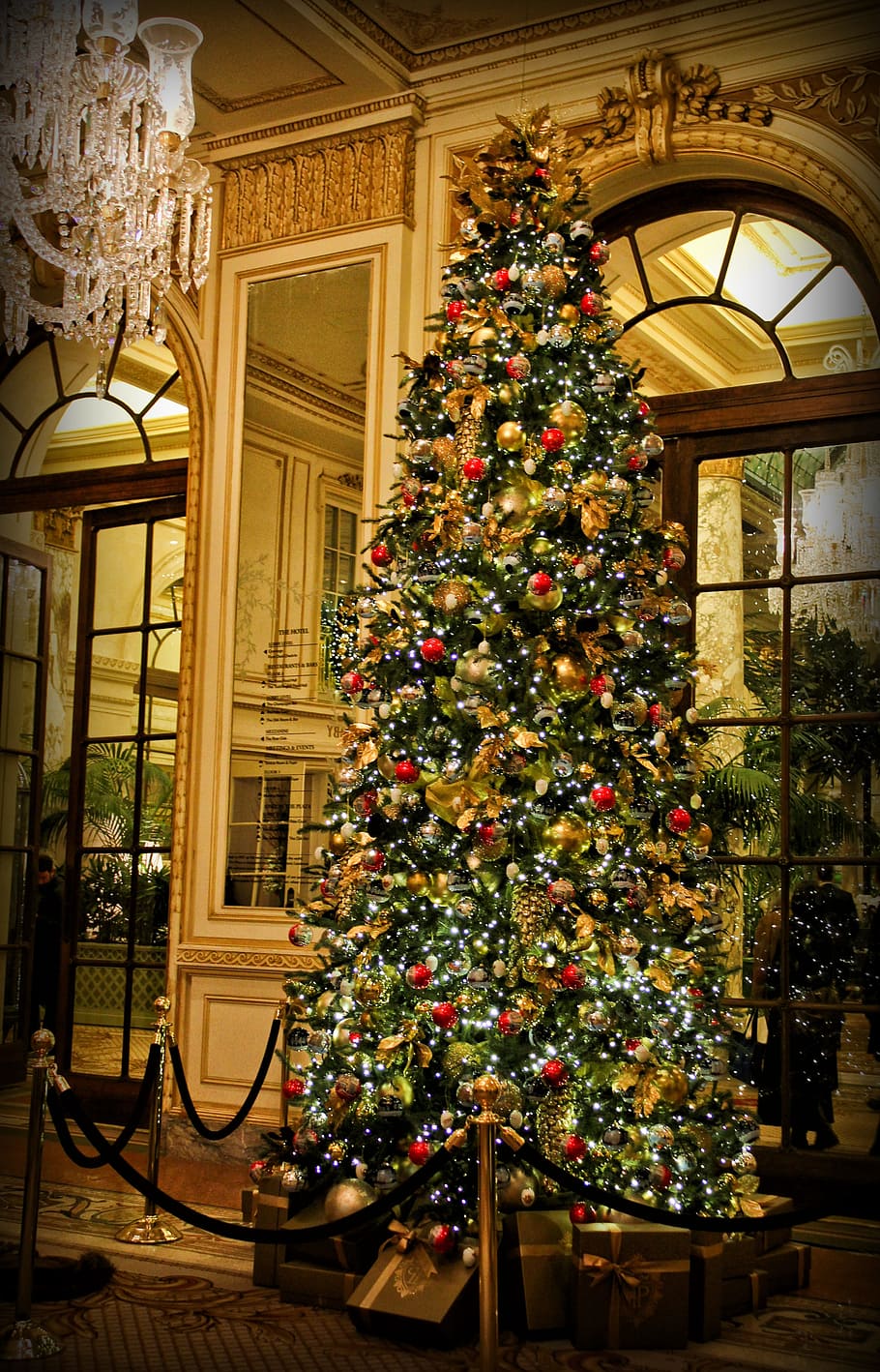 Natal, Advento, Árvore, Festival, época de Natal, decoração, Árvore de Natal, Decoração de Natal, inverno, culturas