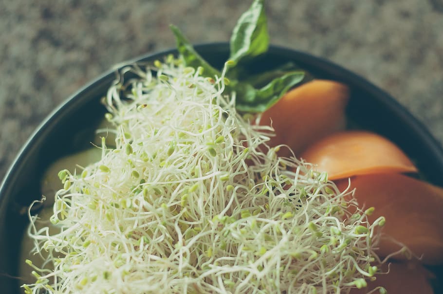 alfalfa sprouts, black, bowl, tomato, salad, yellow, sprouts, vegetable, food, green