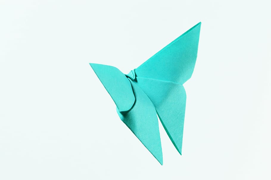 green, paper butterfly decor, white, surface, origami, isolated, approach, decoration, blue, culture