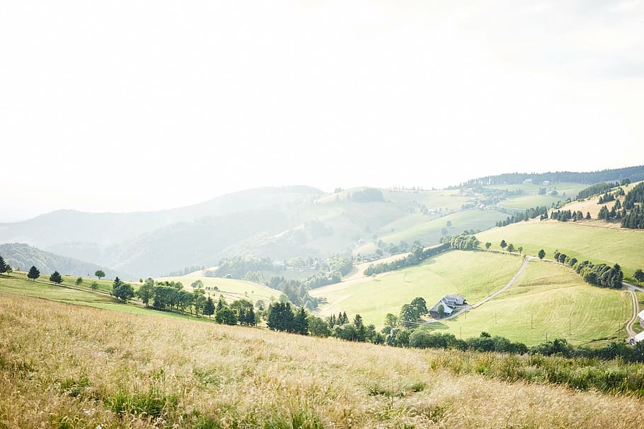 fotografía de paisaje, colinas, brumoso, cielo, marrón, hierba, abierto, campo, durante el día, verde