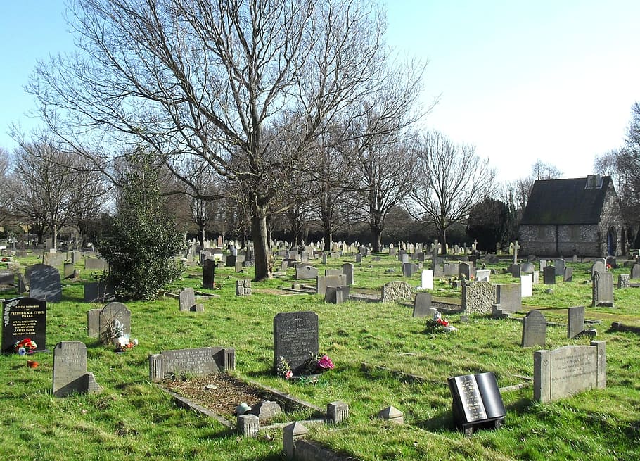 イングランド イギリス 墓地 墓石 墓 自然 外 草 木 平和 Pxfuel