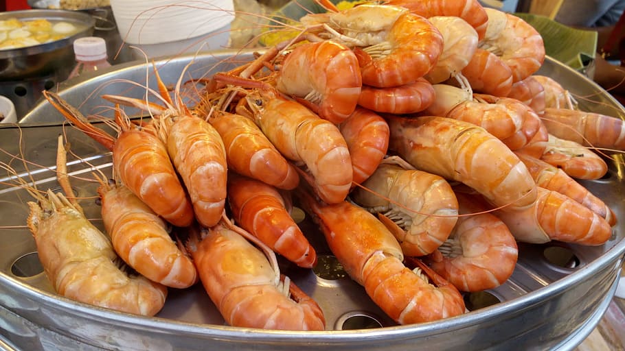 cooked shrimps, food, prawn, shrimp, seafood, asian, thai, cooked, food and drink, freshness
