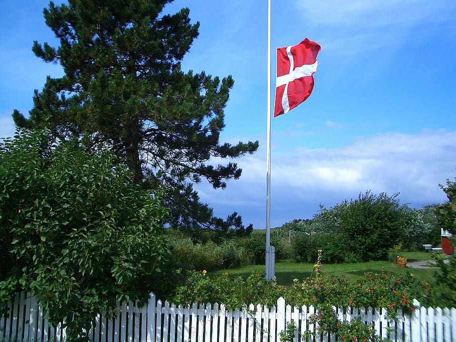 bendera Denmark, hutan, pohon, langit, awan, musim panas, musim semi, tanaman, rumput, pagar