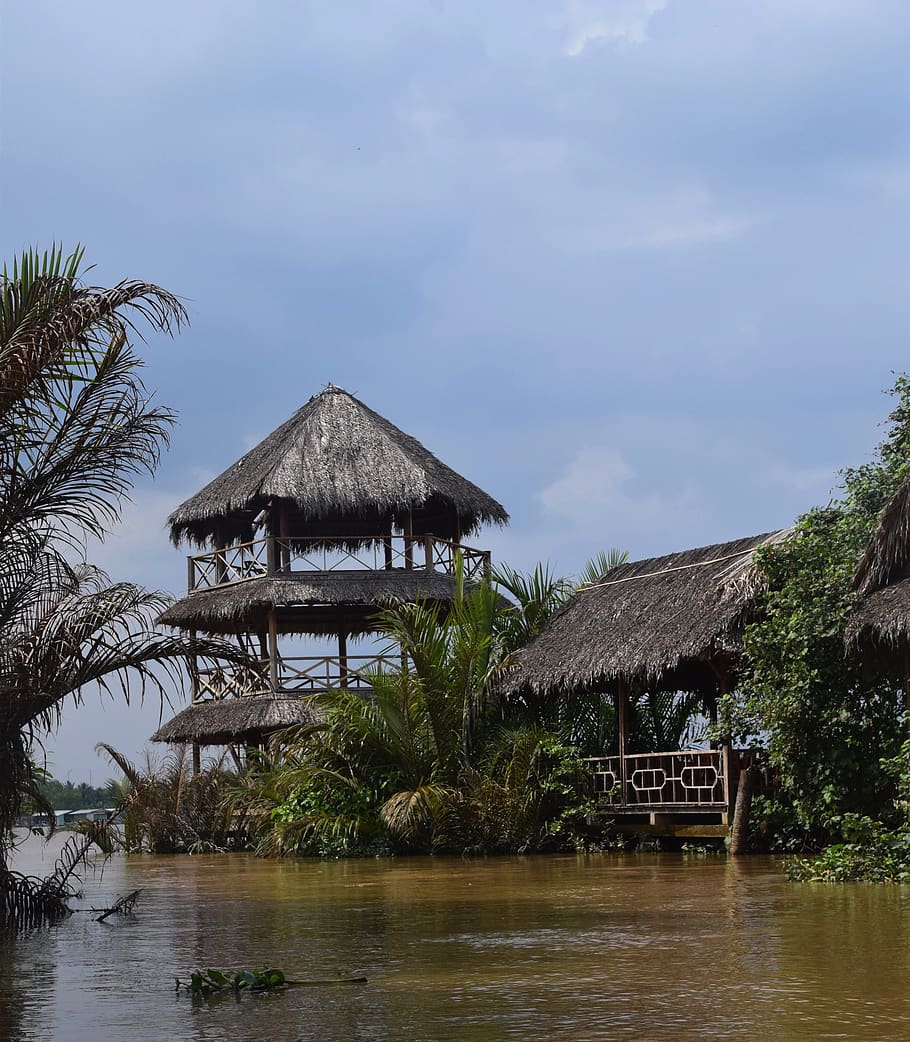 vietnam, mekong river, hut, water, travel, tree, built structure, architecture, sky, plant