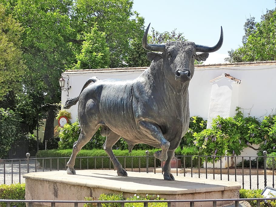 sculpture, bull, spain, ronda, bull fighting, animal themes, animal, plant, tree, domestic animals