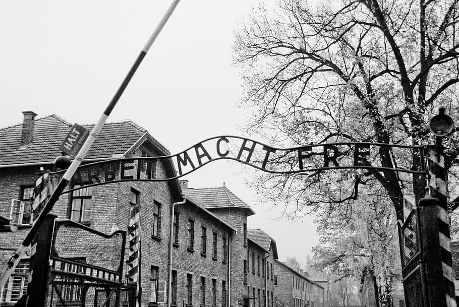auschwitz, gate, holocaust, poland, concentration, camp, war, prison, history, death