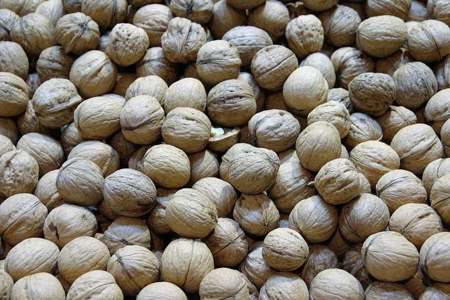 walnuts, nuts, macro, close, seedling, walnut, nut, eat, food, brown