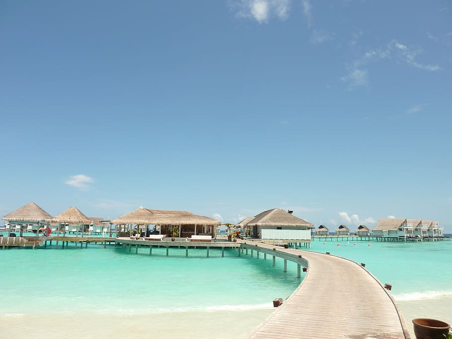 gray, boardwalk, daytime, maldives, travel, resort, island, hotel on the water, route, pier