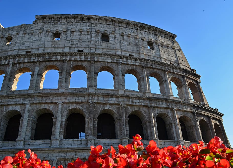 colosseum, italy, rome, arena, gladiators, ruin, building, monument, arch, travel destinations