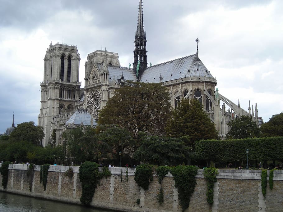 paris, notre dame, city, architecture, built structure, building exterior, sky, water, tree, plant