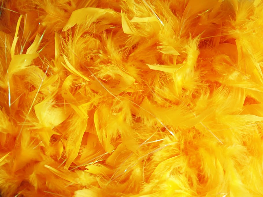 naranja, amarillo, lote de plumas, plumas, imagen de fondo, textura, teñido, color, fondo, brillante