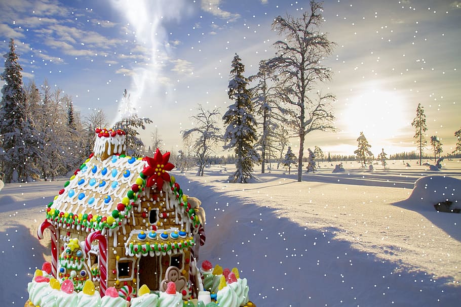 christmas, gingerbread house, snow, winter, christmas time, boys, cold temperature, tree, sunlight, nature
