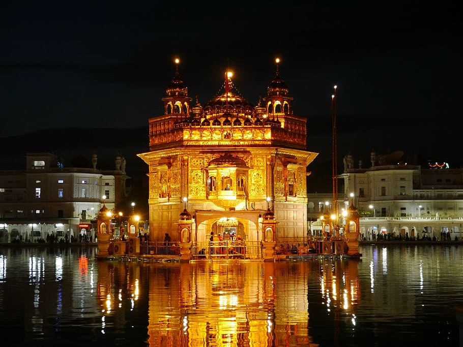 turned-on light, building, body, water, amritsar, golden temple, india, gold, temple, sikh
