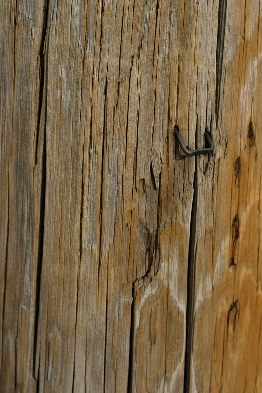 wood, texture, telephone pole, wood - material, textured, full frame, backgrounds, pattern, close-up, brown