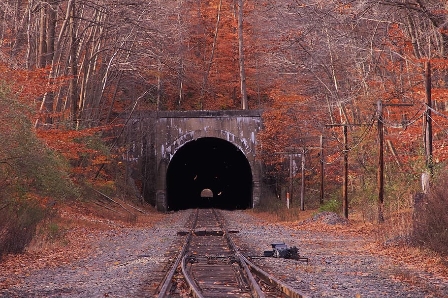riel de tren, rodeado, naranja, verde, hojeado, árboles, tren, túnel, otoño, jersey