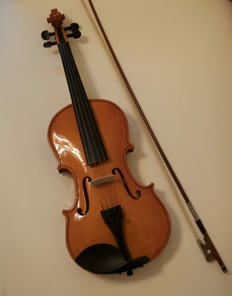 marrom, violino, arco, corda, de madeira, novo, instrumento, musical, música, instrumento musical