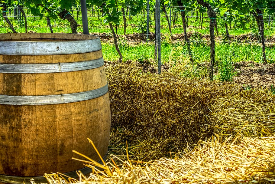 wine barrel, straw, straw bales, seating area, romantic, vineyard, wooden barrels, table, winemaker, winegrowing