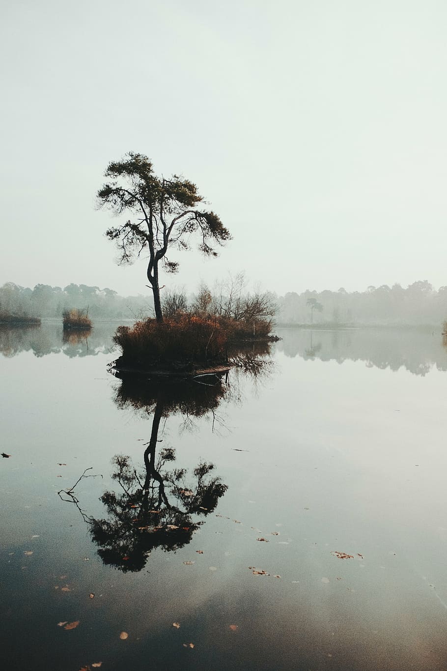 tree, river, gray, clouds, nature, trees, travel, adventure, lake, reflection