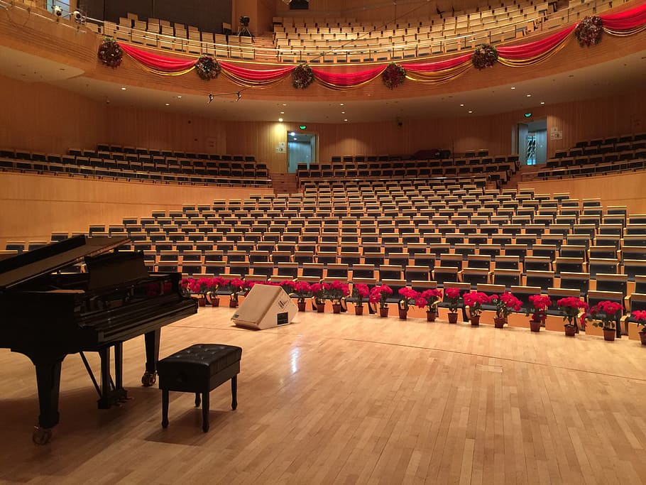 negro, grand, beige, escenario de parquet, Piano, Steinway, escenario - Performance Space, auditorio, asiento, interior