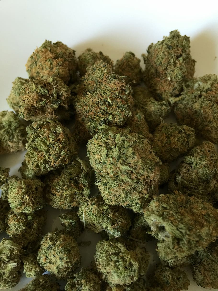Марихуана в куче фото выращивание марихуаны дома в шкафу
