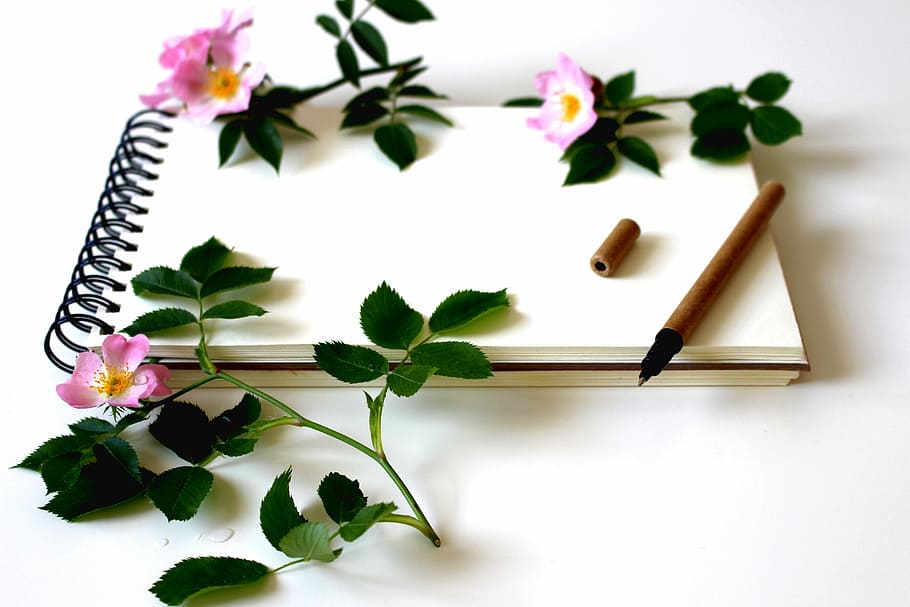 white, sketch book, three, pink, petaled flowers, top, notebook, leave, notes, writing tool