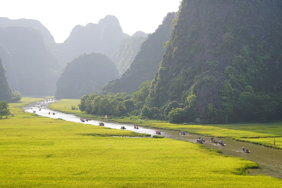 tam coc, bich dong, ninh binh, vietnam, plant, grass, green color, beauty in nature, scenics - nature, mountain