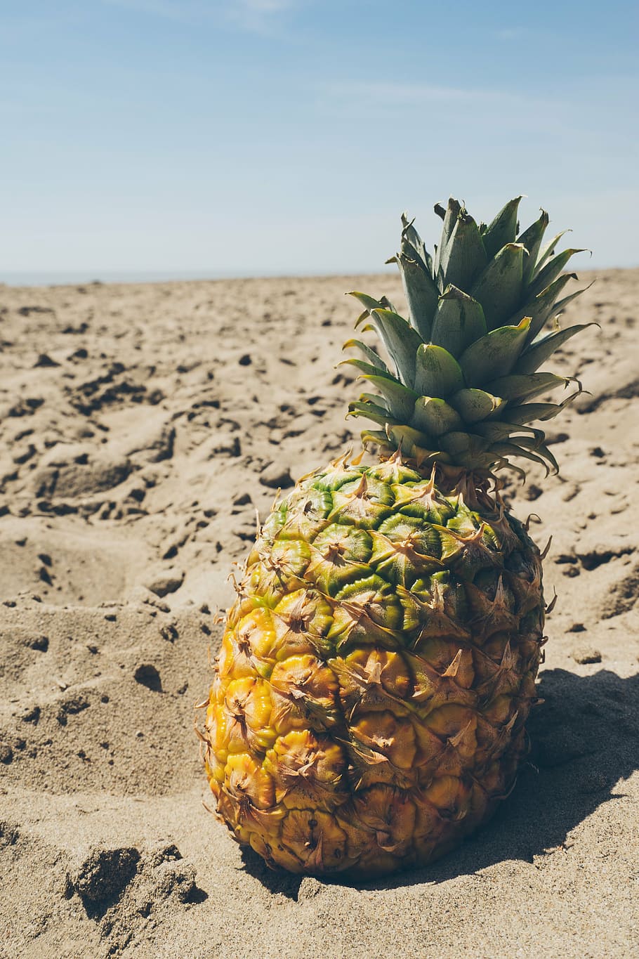 pineapple, soil, beach, blue sky, fruit, golden, healthy food, horizon, lake, sand
