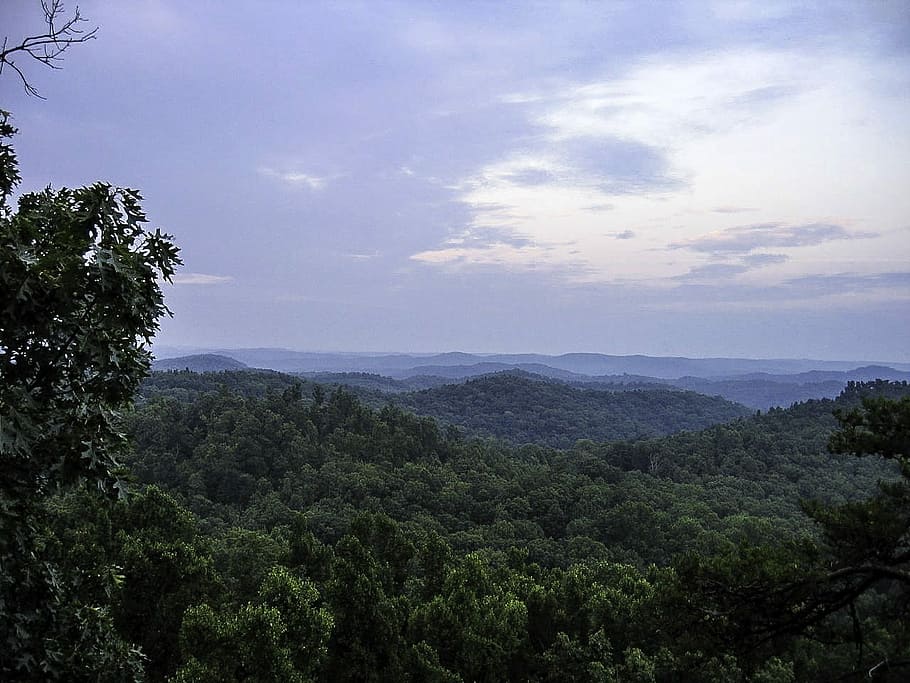 floresta, daniel boone, nacional, paisagem, floresta nacional de Daniel Boone, Kentucky, nuvens, paisagens, floresta nacional, natureza