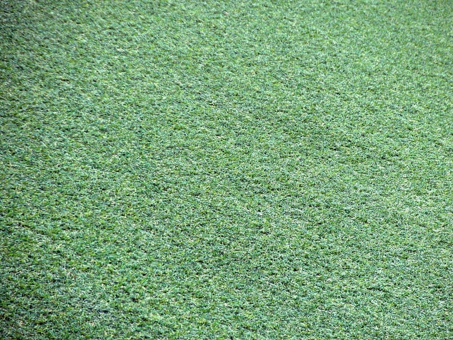 rumput rumput hijau, abstrak, buatan, astro, astroturf, latar belakang, baseball, cantik, karpet, close-up