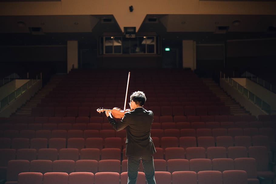 violin, music, musician, boy, auditorium, performance, presentation, concert, people, rear view