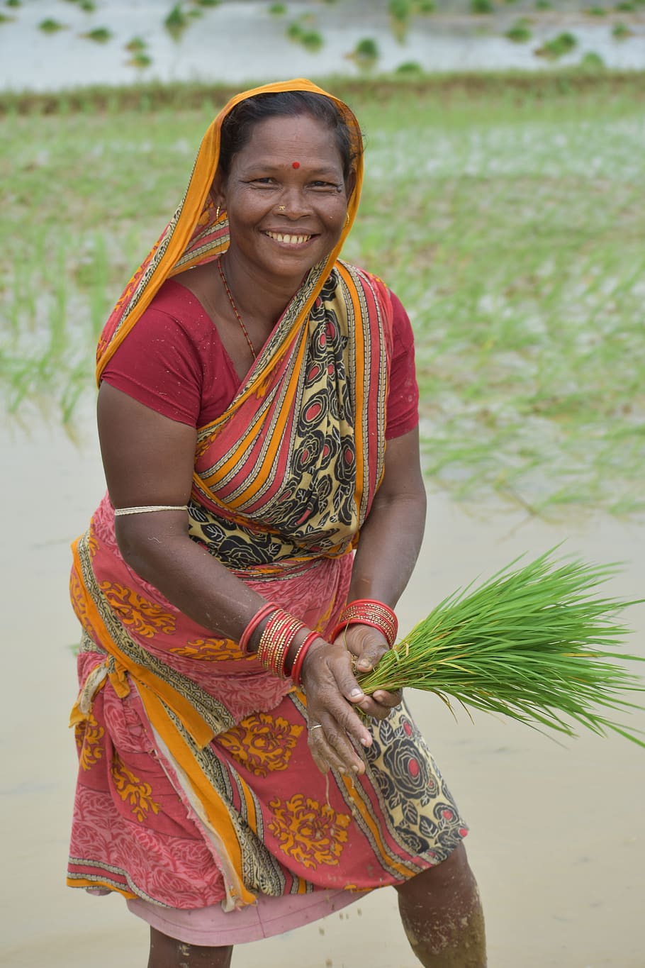 happy, woman, farmer, odisha, smiling, traditional clothing, happiness, one person, real people, looking at camera