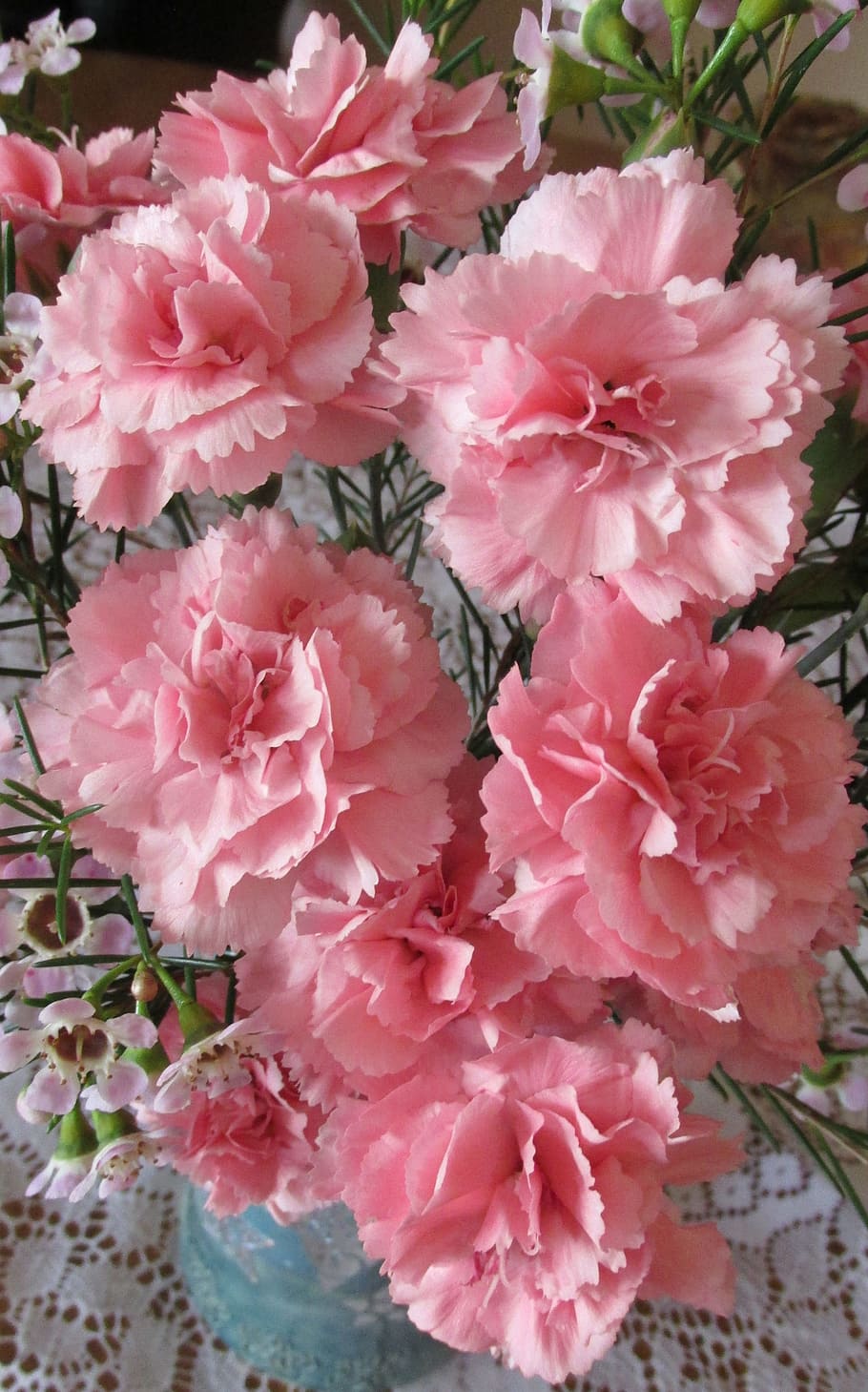 flores rosadas, claveles, rosa, perfume, flores, planta, color rosado, flor, planta floreciendo, belleza en la naturaleza