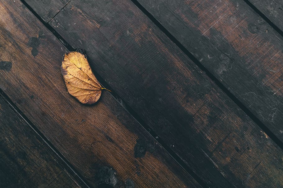 leaf, dried, wooden, table, things, still, wood, old, wood - material, plant part