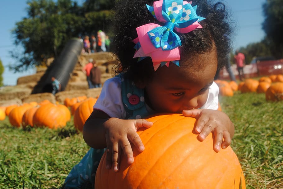 Pumpkin Patch, Girl, baby, pumpkin, autumn, halloween, harvest, child, patch, orange