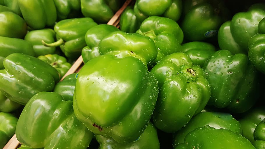 bell peppers, green bell peppers, capsicum, vegetables, greens, produce, market, food, grocery, fresh