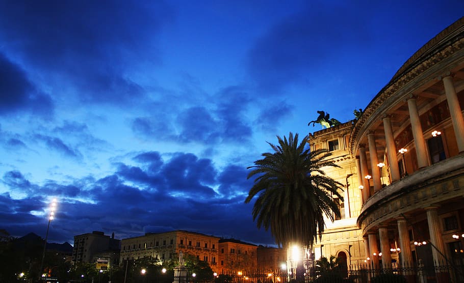 tree, buildings, golden, hour, Palermo, Piazza, Sunset, politeama, teatro, city