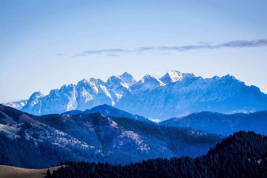 panorama, alpine, wilderkaiser, good view, hochwald, firs, mountains, hair dryer, landscape, vacations