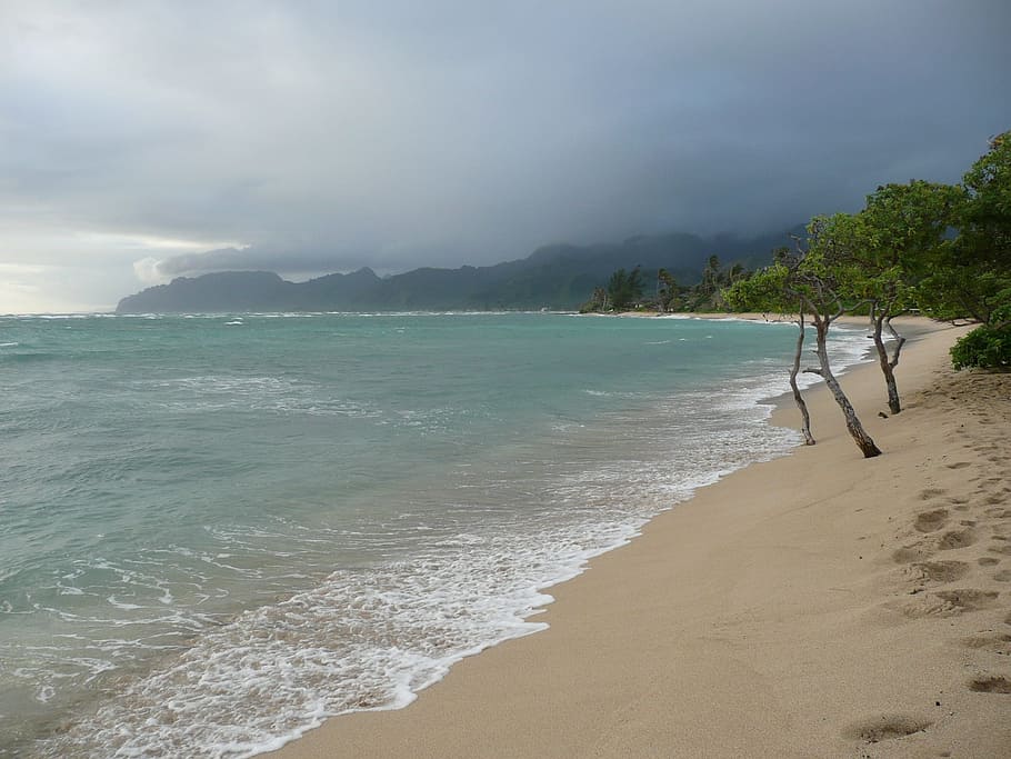 white, sand beach, daytime, Hawaii, Overcast, Ocean, Sea, Sea, Beach, ocean, sea, beach