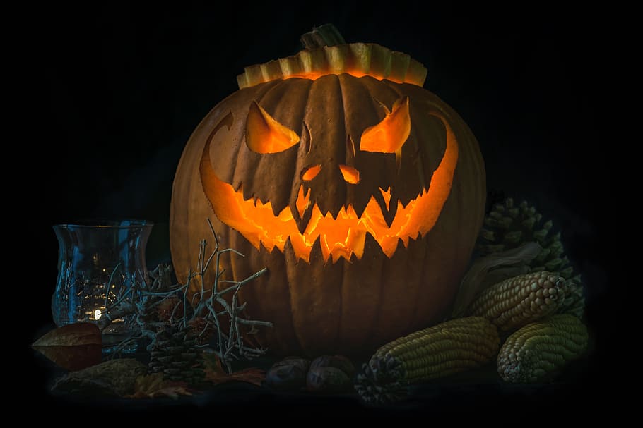 abóbora, dia das bruxas, outono, outubro, assustador, colheita, legumes, alimentos, estação, lanterna