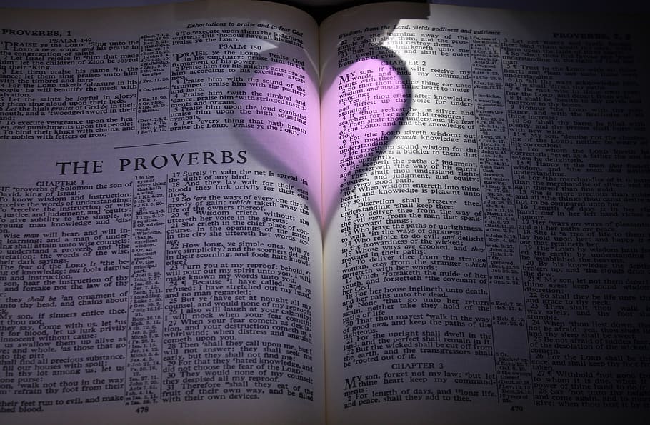 white, black, book, bible, proverbs, heart, purple, pink, shadow, low-light